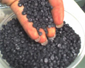 granules